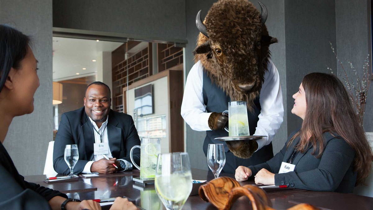 Welcome to the <br>Unexpected Buffalo