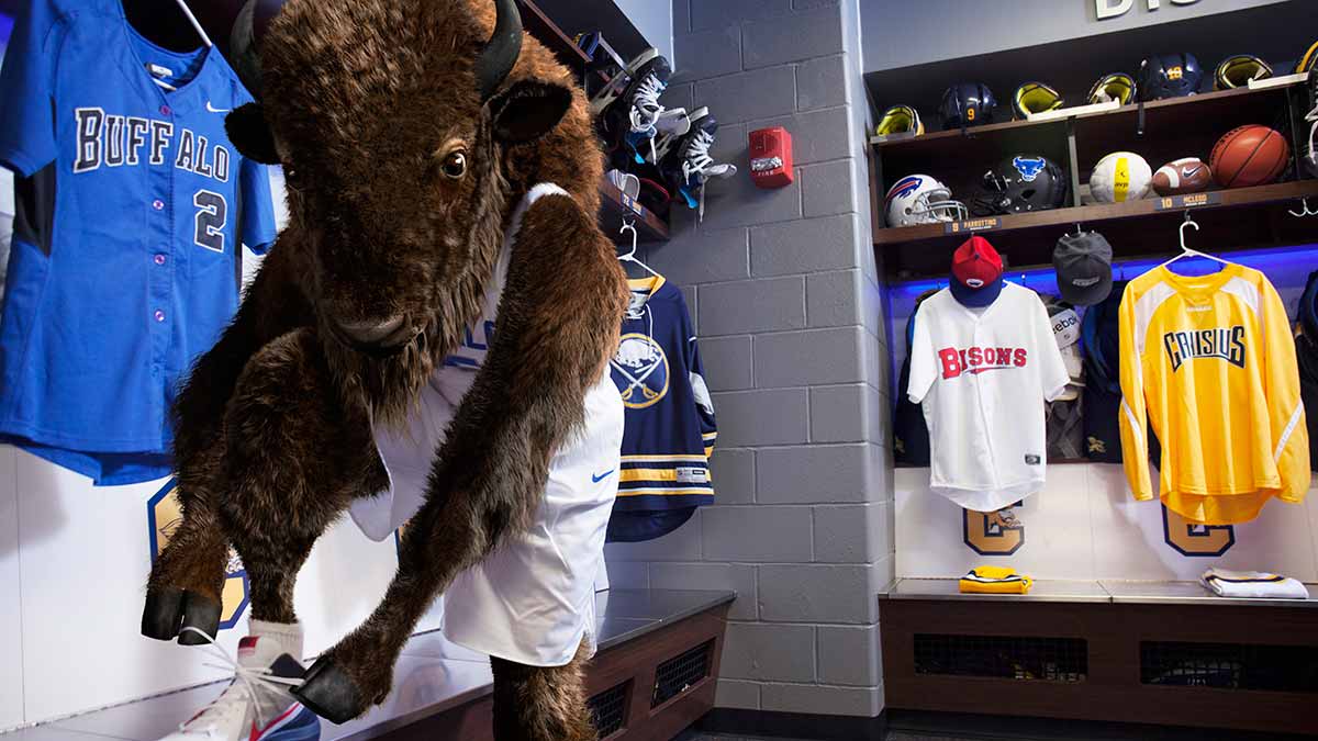 The Unexpected Buffalo