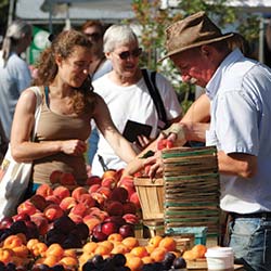 Fresh Local Farmers Markets