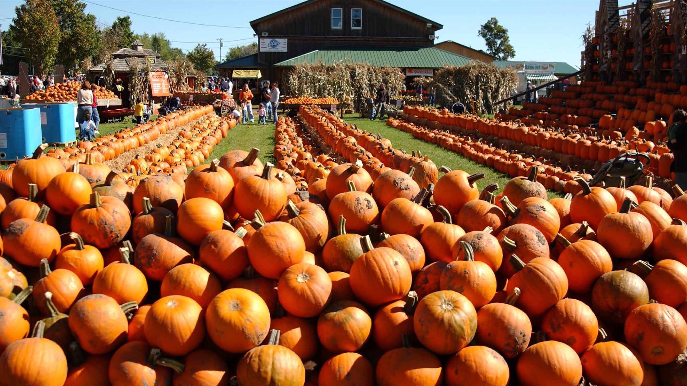 PumpkinFarm_16x9