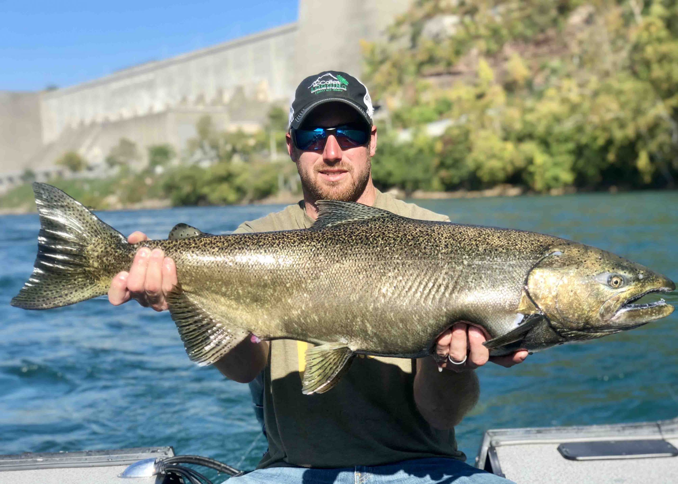Brookdog_Fishing_4