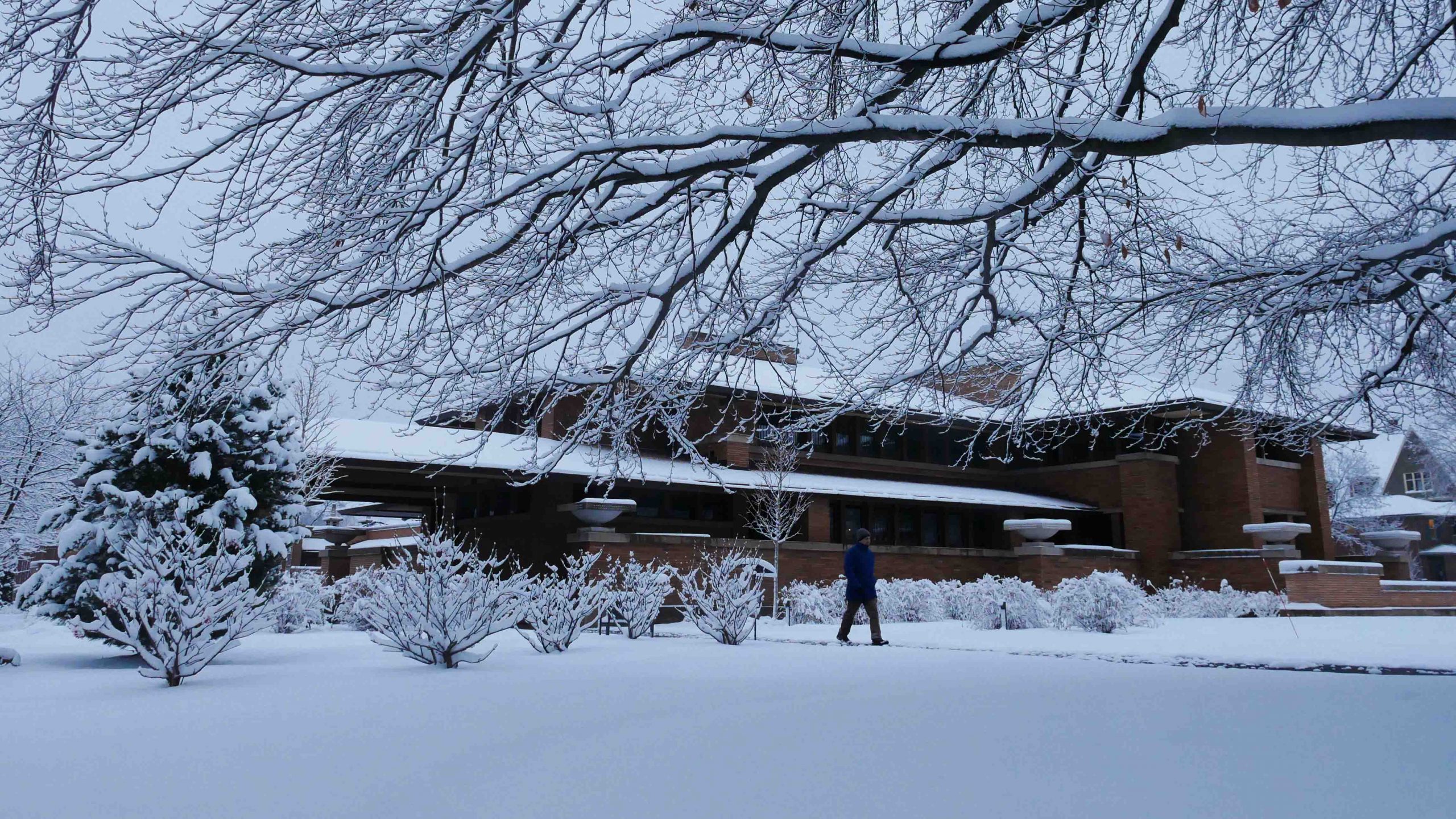 Martin House in the winter