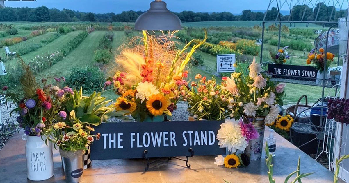 Stores With Stories: The Flower Stand - Visit Buffalo