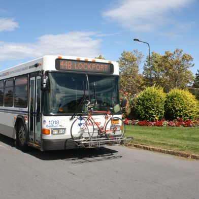 Buffalo city bus