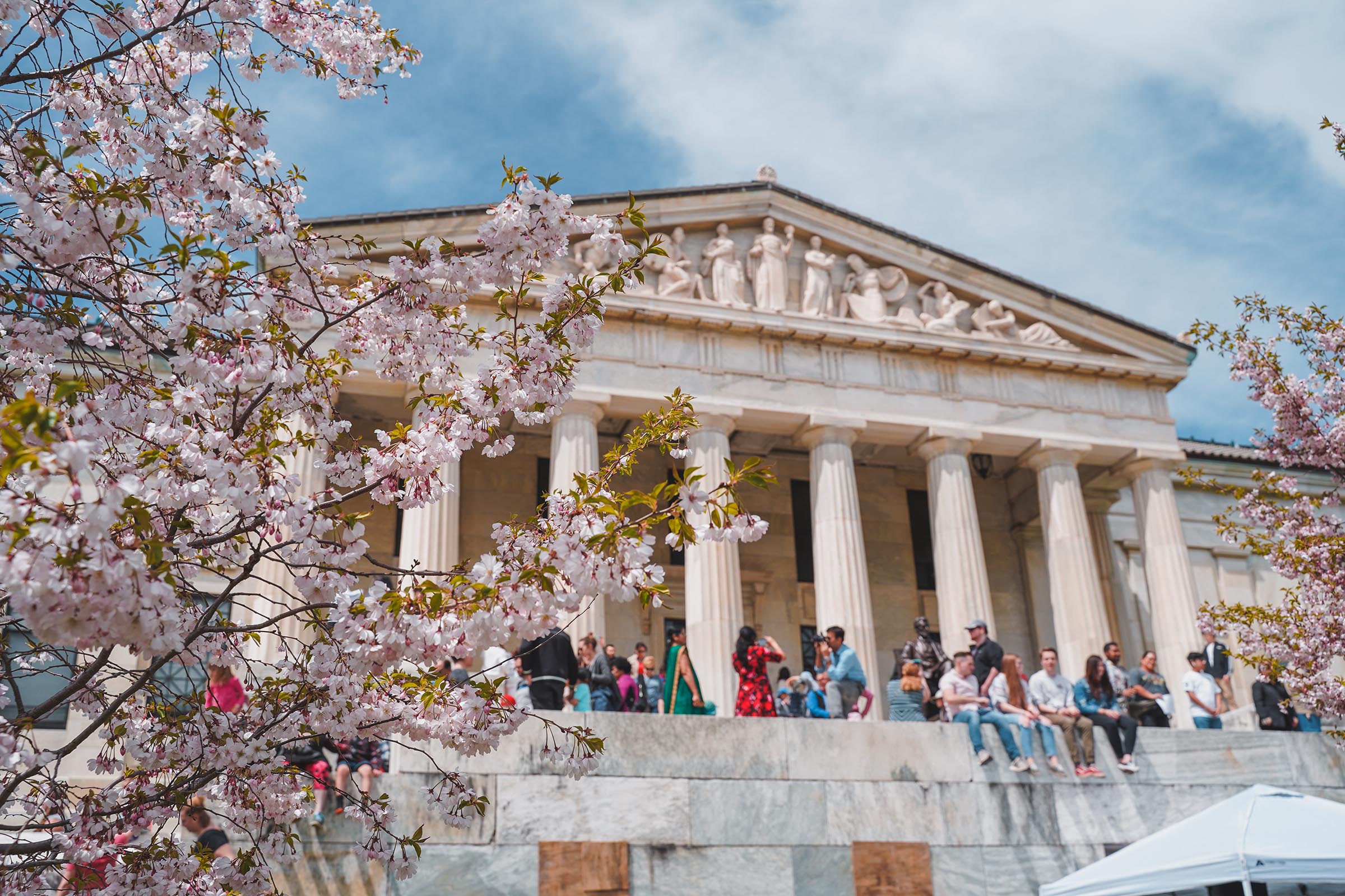 Buffalo Cherry Blossom Festival 2019-2-photo by Drew Brown