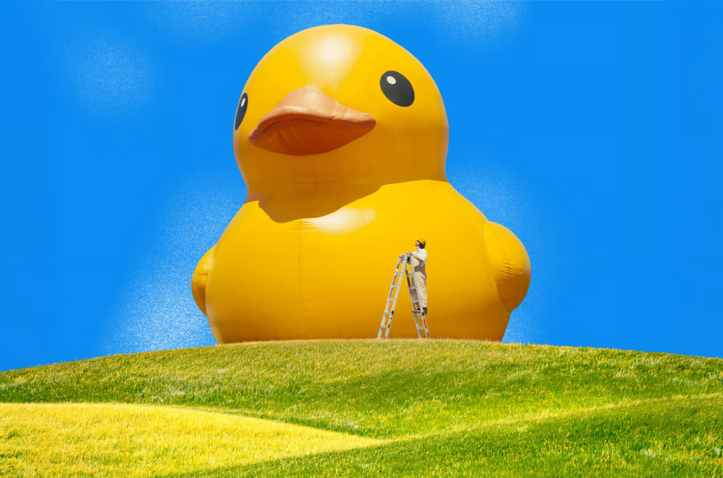 Anees: Lucky Duck Tour