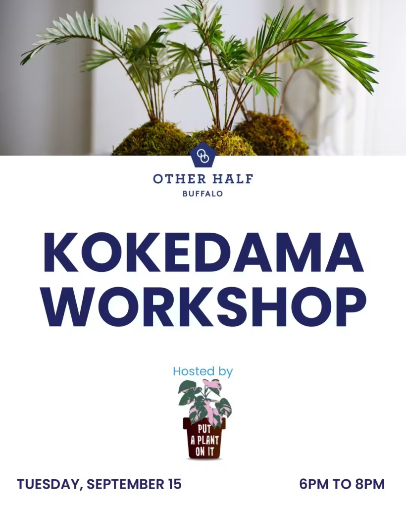 Put A Plant On It – Kokedama Class