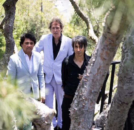 The Sadies