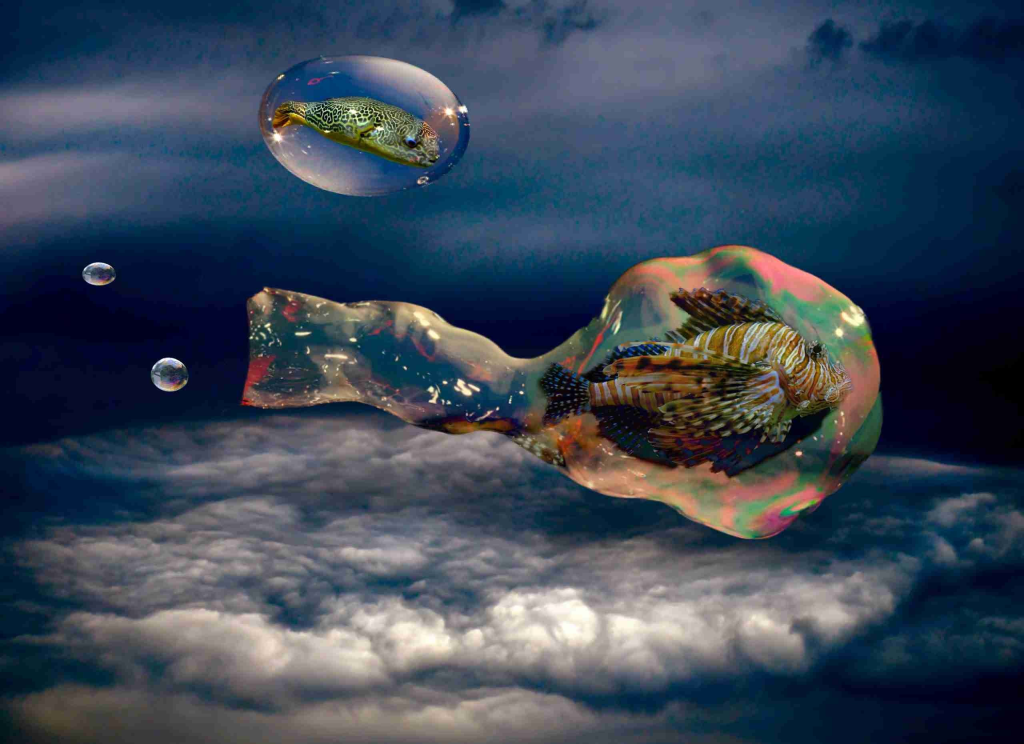 Day Dreams and Night Sweats – Opening Reception