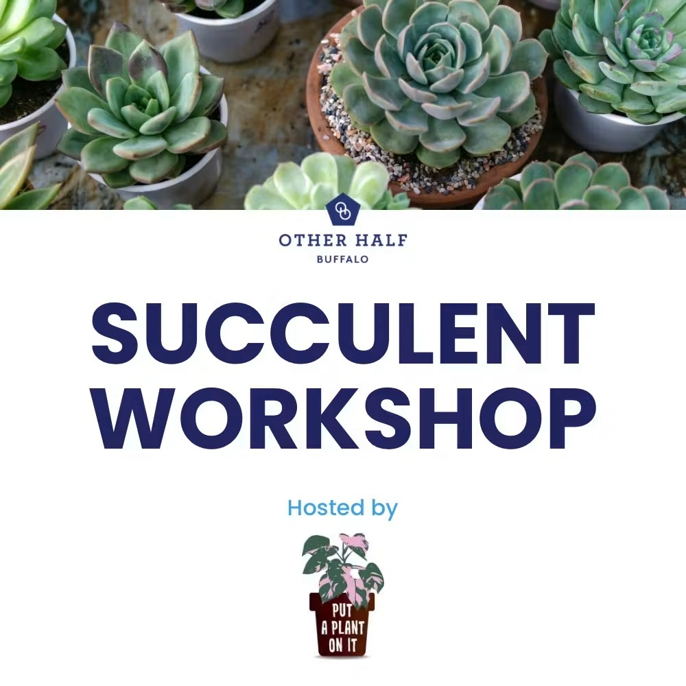 Put A Plant On It – Succulent Planter Workshop